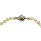 Akoya Pearl Necklace with Silver Clasp