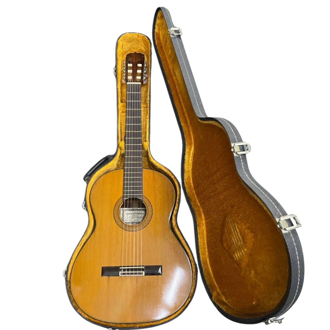 Ryoji Matsuoka M40 Guitar