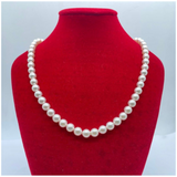 Akoya Pearl Necklace