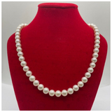 Akoya Pearl Necklace w/Silver Clasp