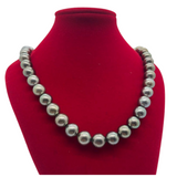 Natural Black South Sea Pearl Necklace, Silver Clasp with Cert