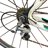 Wilier Triestina Cento1 Carbon Frame Road Bike