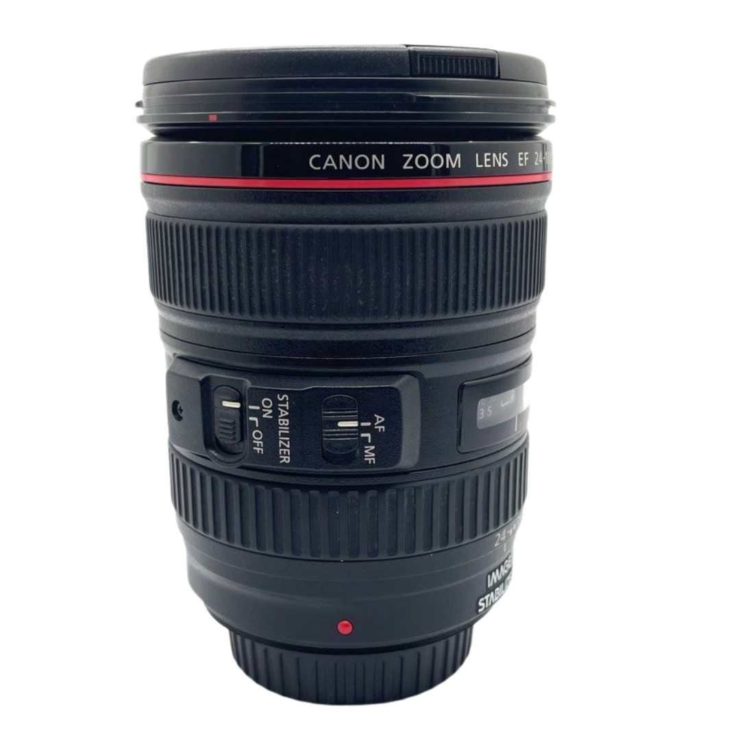 Canon EF 24-105mm f/4L IS USM Lens (LENS FUNGUS)
