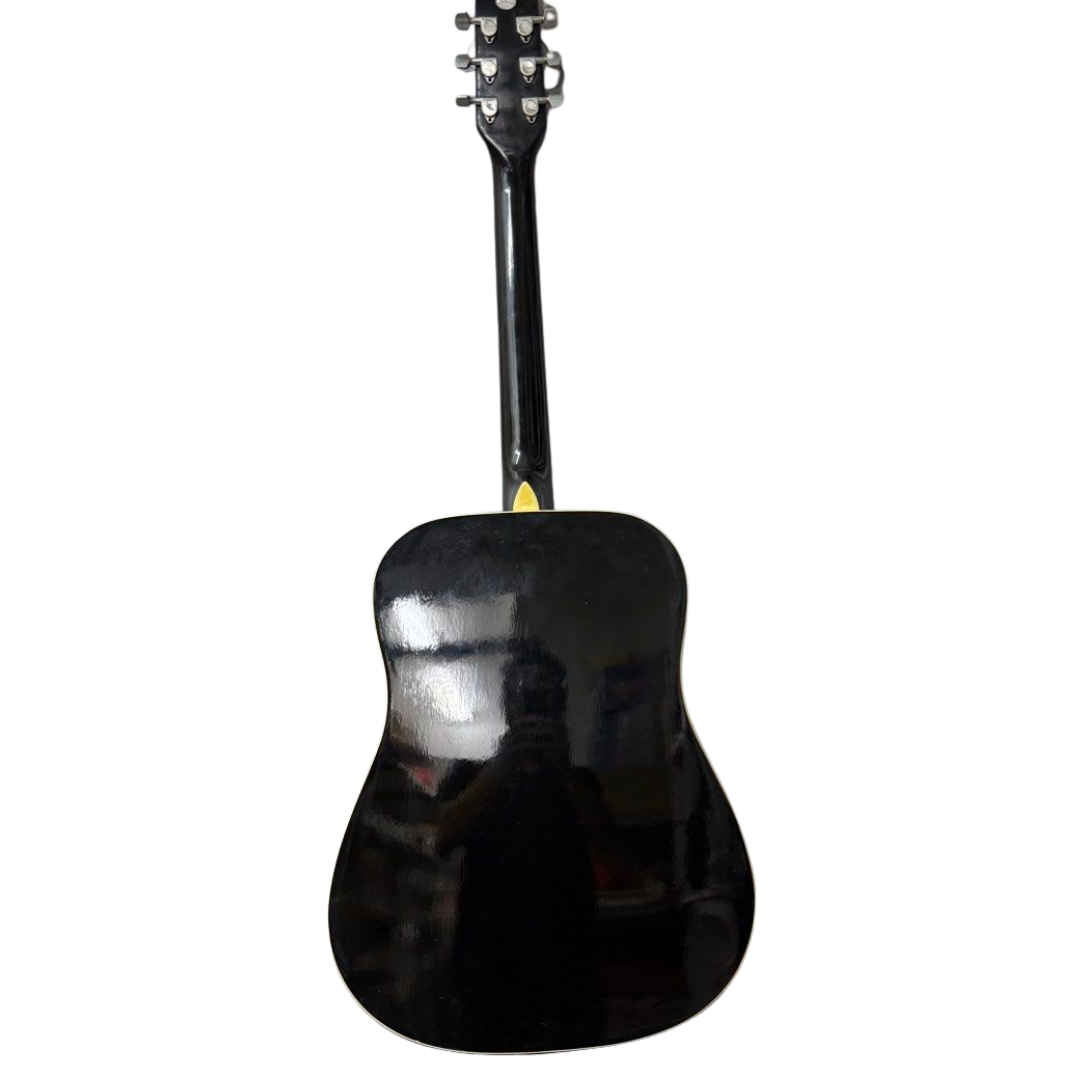Fina FD-701-BK Acoustic Guitar