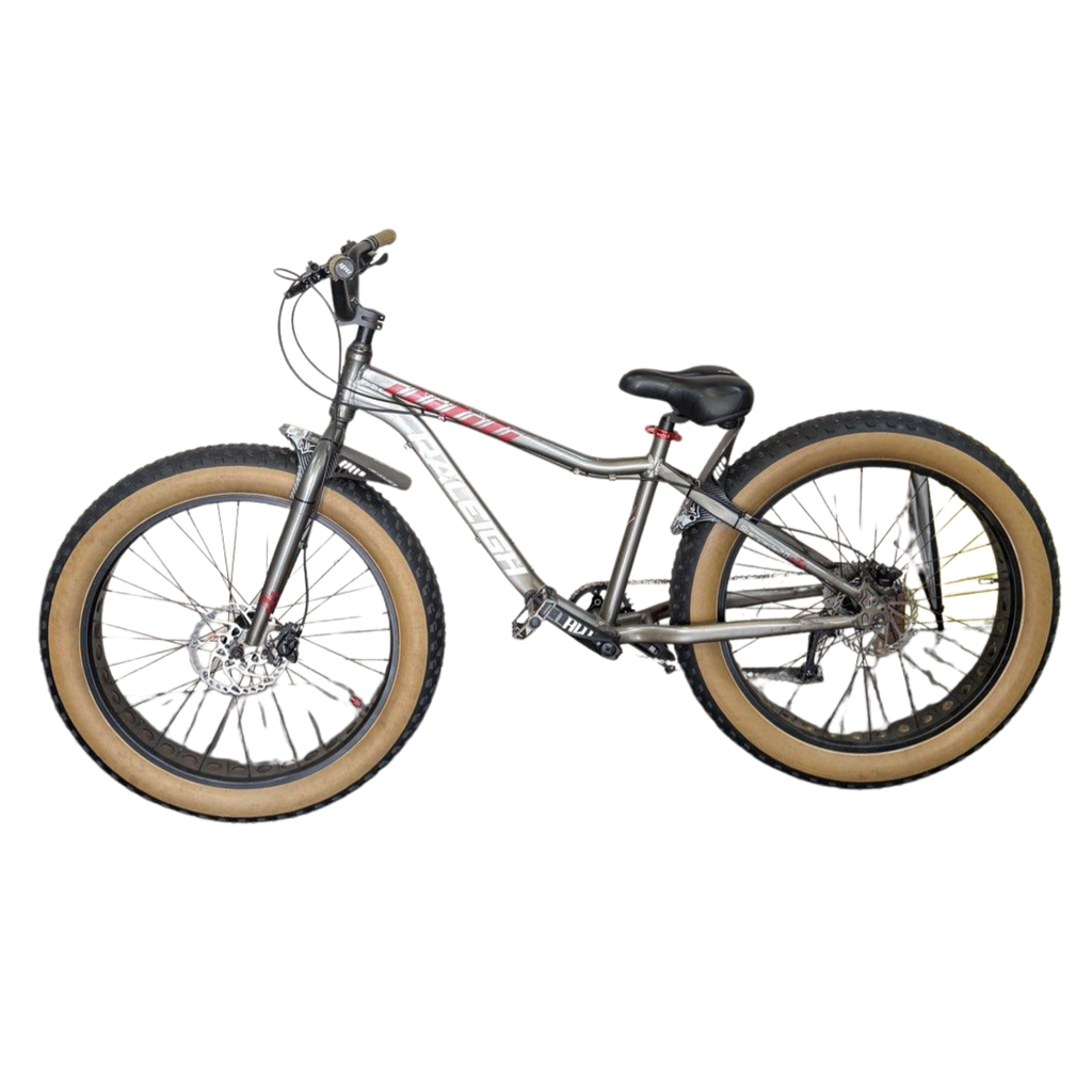 Raleigh Stampede Bicycle-9 Speed