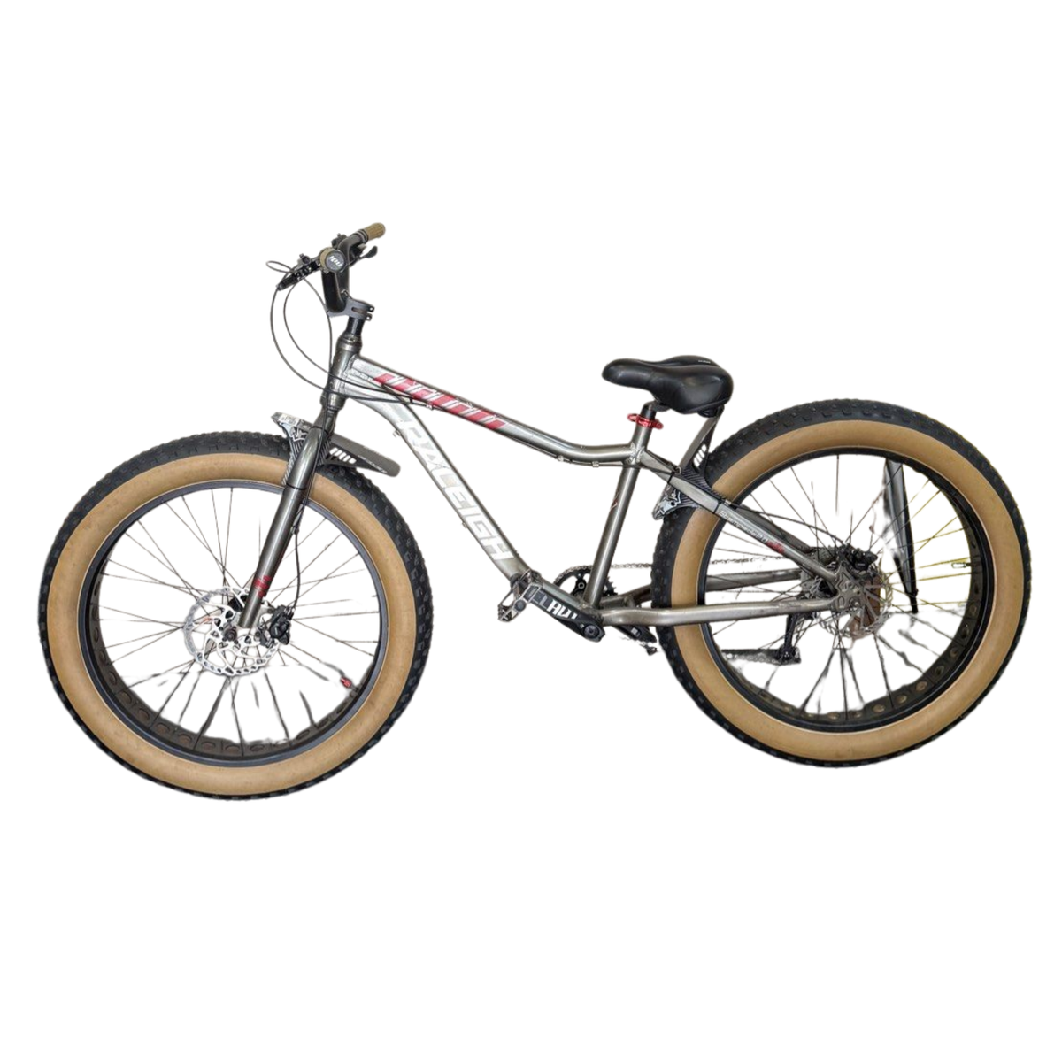 Raleigh Stampede Bicycle-9 Speed