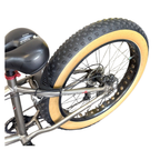 Raleigh Stampede Bicycle-9 Speed