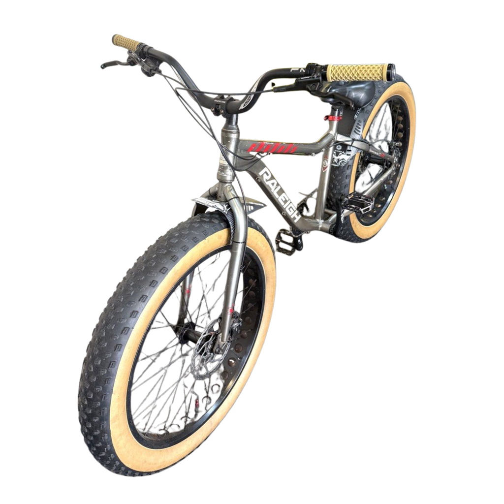 Raleigh Stampede Bicycle-9 Speed