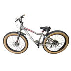 Raleigh Stampede Bicycle-9 Speed