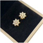 20K Yellow Gold Natural Diamond Earring