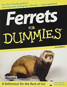 Ferrets For Dummies Paperback Main image