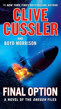 Final Option: 14 Paperback Main image