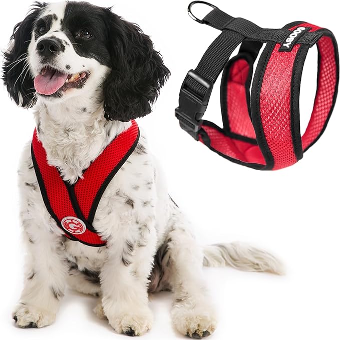 Gooby Comfort X Head in Harness - Red, Small - No Pull Small Dog Harness, Patented Choke-Free X Frame - Perfect on The Go Dog Harness for Medium Dogs No Pull or Small Dogs for Indoor and Outdoor Use Main image