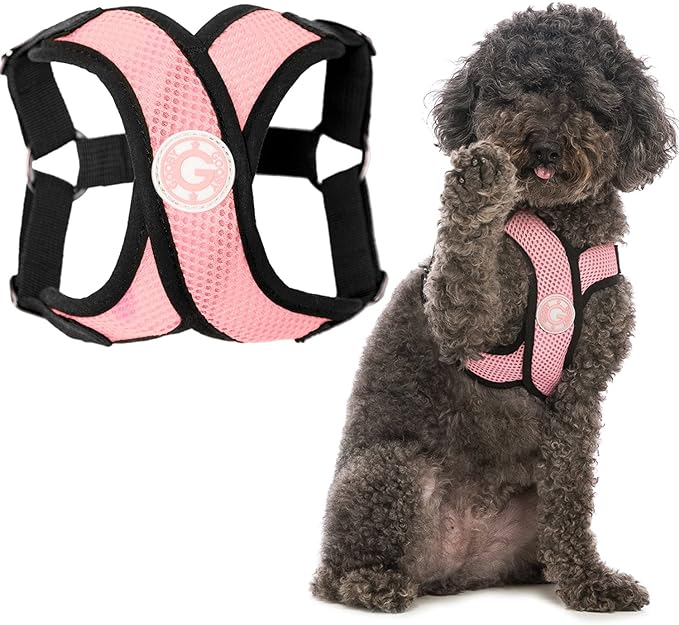 Gooby Comfort X Step In Harness - Pink, Small - Comfort X Step-in Small Dog Harness Patented Choke-Free X Frame - On the Go Dog Harness for Medium Dogs No Pull or Small Dogs for Indoor and Outdoor Use Main image