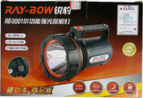 RayBow RB3001 LED Torch Light