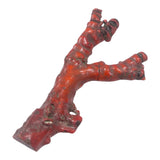 Rare Natural Untreated Taiwan Red Coral w/Cert -Length 17cm