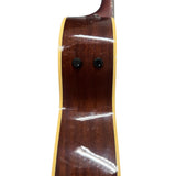 Fender Villager 12-String Acoustic Guitar