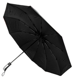 Folding Automatic Umbrella Shaine