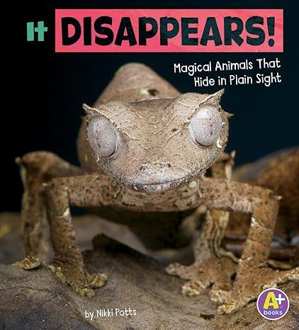It Disappears!: Magical Animals That Hide in Plain Sight Paperback Main image