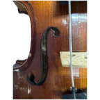 Synwin Student Violin