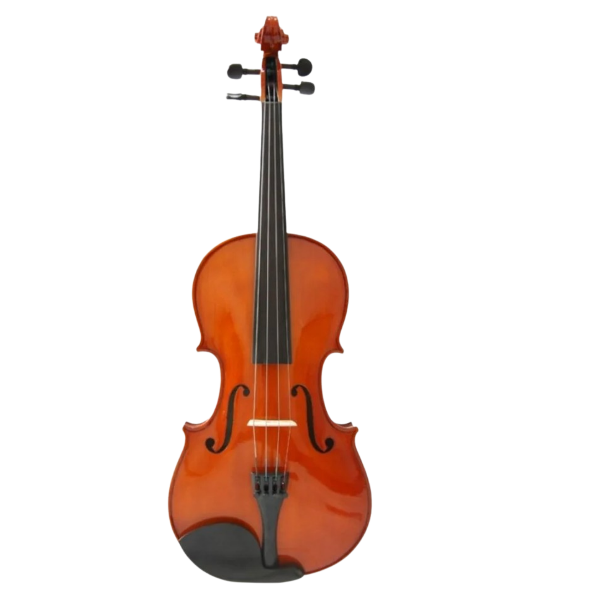 EuroString Violin Model 200 (Size: 1/2) Main image