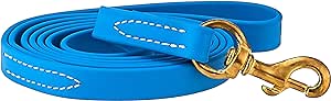 J&J Dog Supplies Biothane Dog Leash, 3/4" Wide by 6 Long, Sky Blue Main image