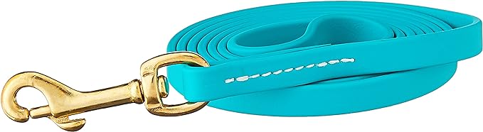 J&J Dog Supplies Biothane Dog Leash, 1/2" Wide by 6 Long, Teal Main image