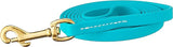 J&J Dog Supplies Biothane Dog Leash, 1/2" Wide by 6' Long, Teal