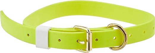J&J Dog Supplies Boithane Dog Collar 1" Wide & Adjustable from 14" to 24", Lime Green Main image