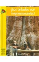 Los Arboles Son Impresionantes! (Yellow Umbrella Books) (Spanish Edition) Main image
