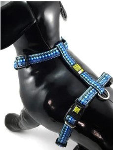 Max & Molly Ethnic Blue Dog Harness Large Main image