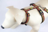 Max & Molly Ethnic Vibes Harness for Dog, Red, Large