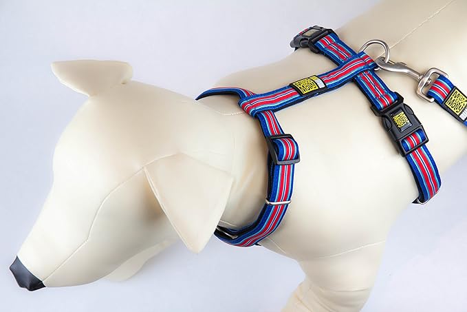 Max & Molly Harness Hampton Strip Blue Large Main image