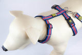 Max & Molly Harness Hampton Strip Blue Large