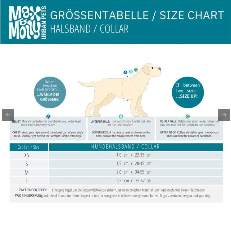 Max & Molly Booster Collar for Dog, Purple, Large Secondary image
