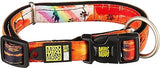 Max & Molly Rio Collar for Dog, Large