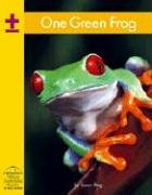 One Green Frog (Yellow Umbrella Books) Main image
