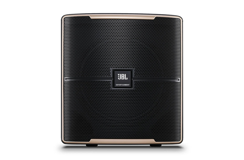 Pasion 12SP Powered 12” Karaoke Subwoofer