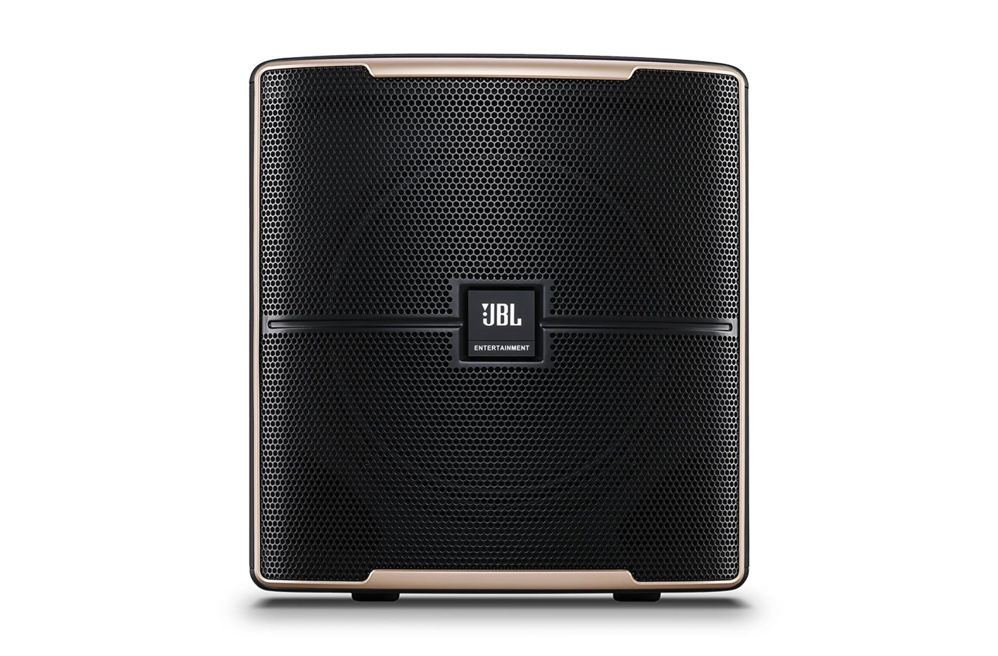 Pasion 12SP Powered 12” Karaoke Subwoofer