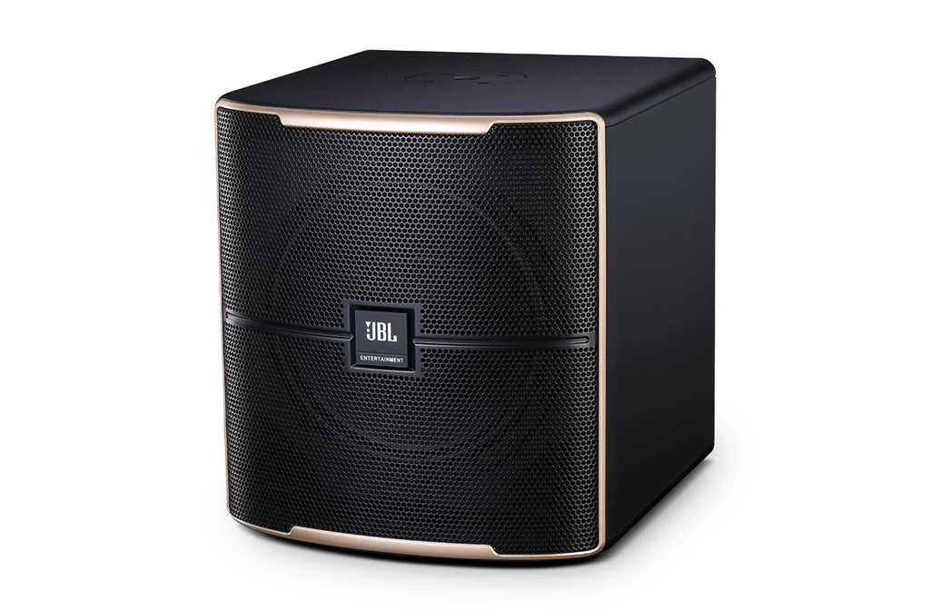 Pasion 12SP Powered 12” Karaoke Subwoofer
