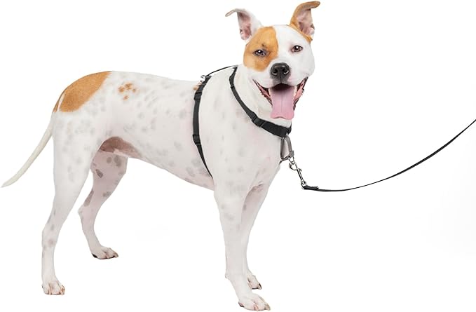 PetSafe 3 in 1 No-Pull Dog Harness For Medium Dogs - Walk, Train or Travel - Helps Pets from Pulling on Walks - Seatbelt Loop Doubles as Quick Access Handle - Reflective- Medium, Black Main image