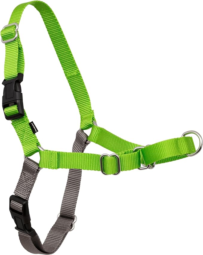 PetSafe Easy Walk No-Pull Dog Harness - The Ultimate Harness to Help Stop Pulling - Take Control & Teach Better Leash Manners - Helps Prevent Pets Pulling on Walks - Small, Apple Green/Gray Main image