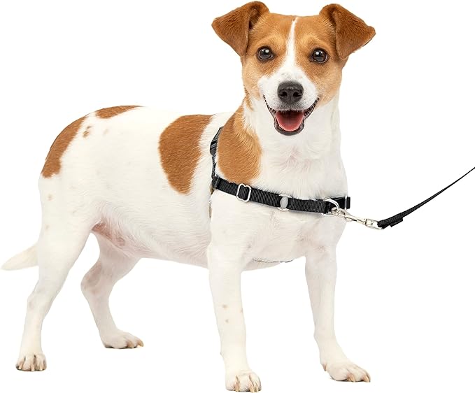 PetSafe Easy Walk No-Pull Dog Harness- Small, Black/Silver