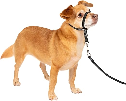 PetSafe Gentle Leader No-Pull Dog Headcollar - The Ultimate Solution to Pulling - Redirects Your Dogs Pulling For Easier Walks - Helps You Regain Control - Petite, Black Main image
