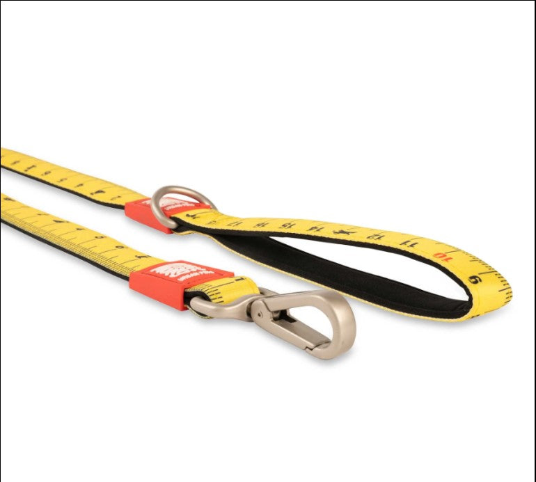Max & Molly Ultra Comfortable Padded Neoprene Sport Dog Leash, Ruler Medium