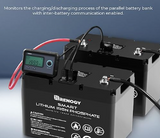 Renogy Monitoring Screen for Smart Lithium Battery Series