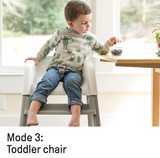 Ingenuity Bright Starts BS11310 Trio High Chair Elite