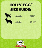 Jolly Pets Jolly Egg Dog Toy, 12 Inches/Large, Purple