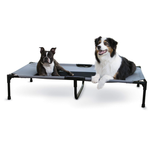 Pets