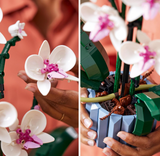 LEGO Botanicals Orchid Plant Decor 10311 Building Set for Adults; Build an Orchid Display Piece for The Home or Office (608 Pieces) (BOX BAD CONDITION)
